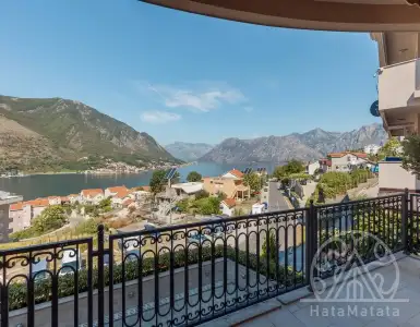 Buy in Montenegro for 1490000€