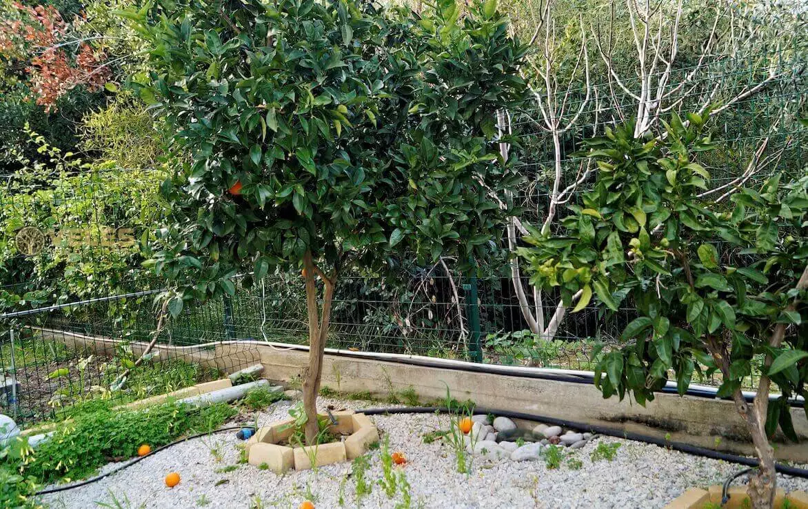 Flat 68m² in Cyprus, Caraolanol. Priced at 114543€ rent photo-7