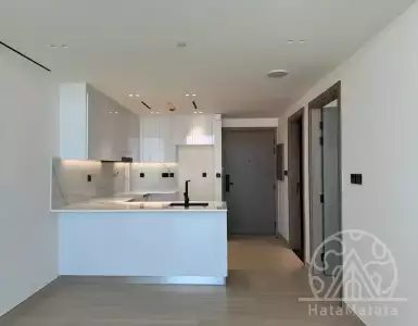 Buy in UAE for 280000000₽