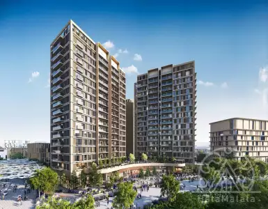 Buy in UAE for 877500$