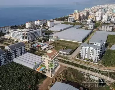 Buy in Turkey for 90000€