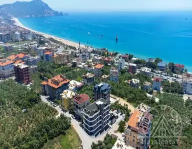 Buy in Turkey for 177000€