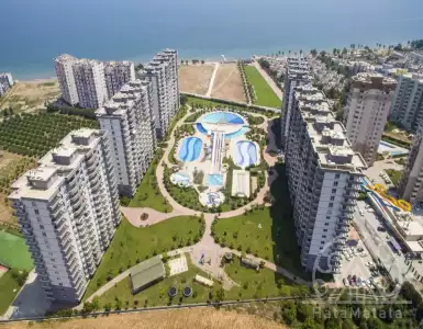 Buy in Turkey for 145000€