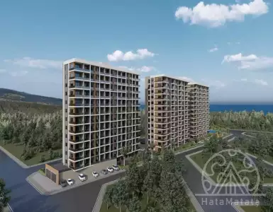 Buy in Turkey for 65000€