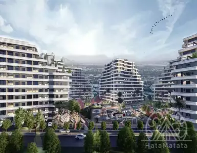Buy in Turkey for 75000€