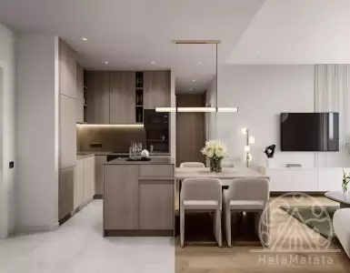Buy in UAE for 317219$
