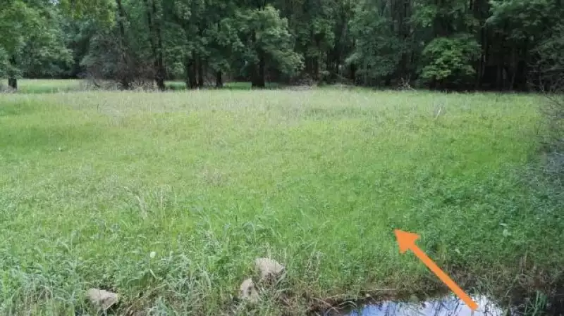 Land 1m² in Montenegro, Virpazar. Priced at 50000€ rent photo-4