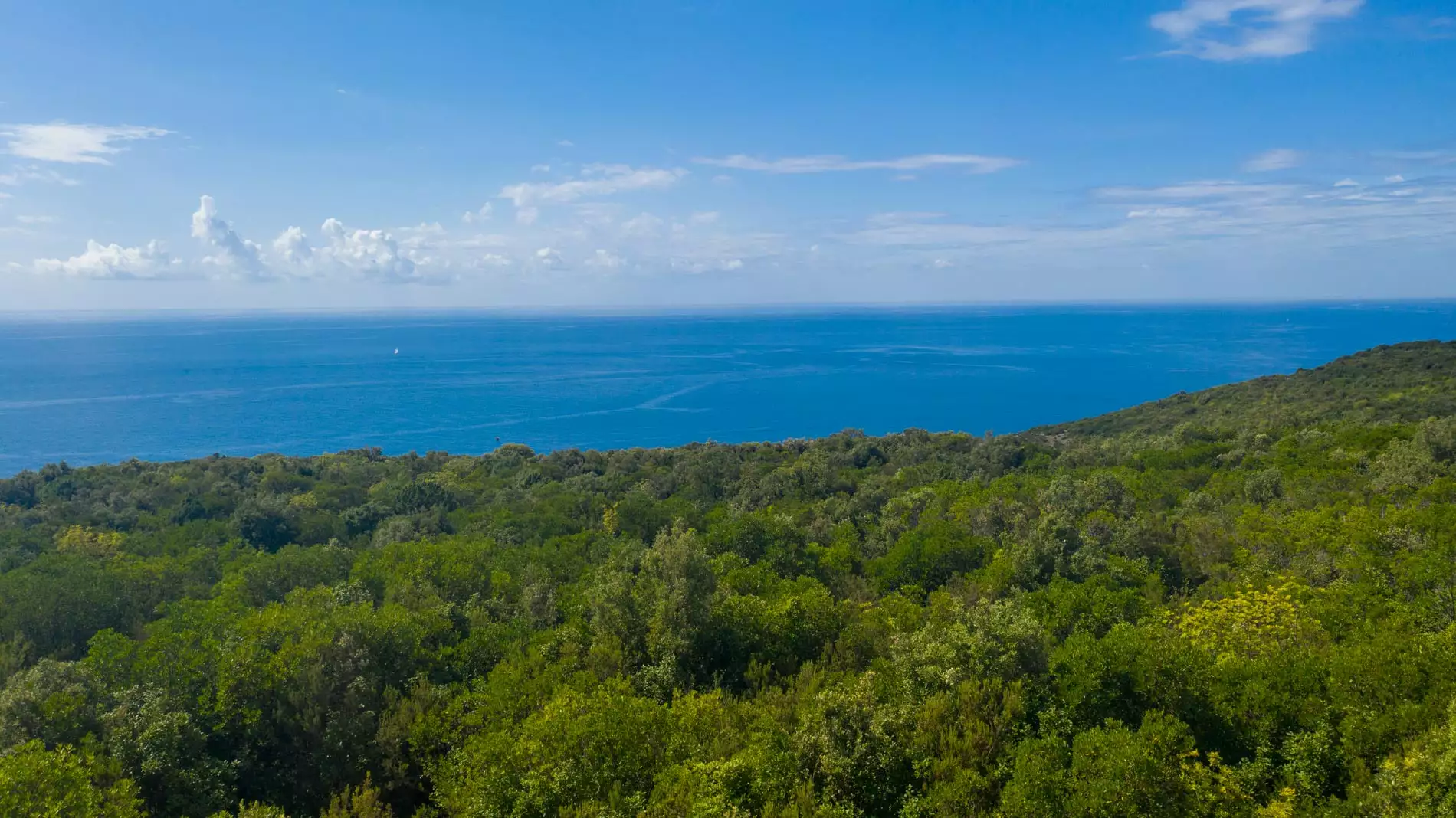 Land 1m² in Montenegro, Zagora. Priced at 851020$ rent photo-2