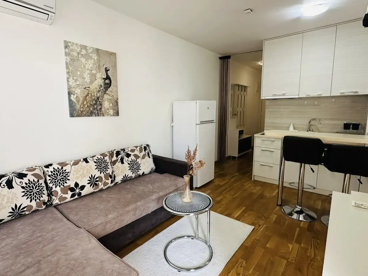 Flat 36m² in Montenegro, Budva. Priced at 1600€ rent photo-4