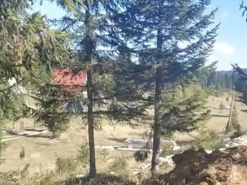Land 1m² in Montenegro, Zabljak. Priced at 22000€ rent photo-3