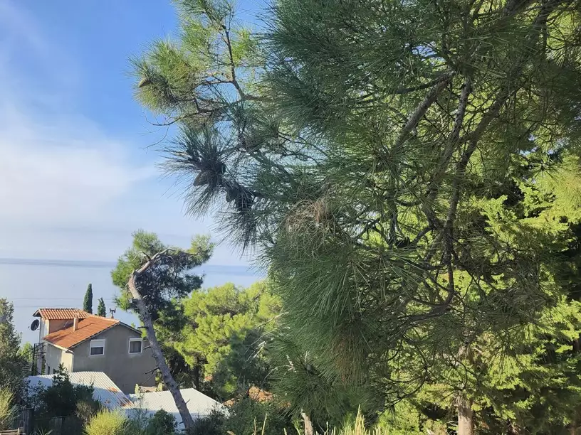 House 95m² in Montenegro, Susanj. Priced at 175000€ rent photo-2