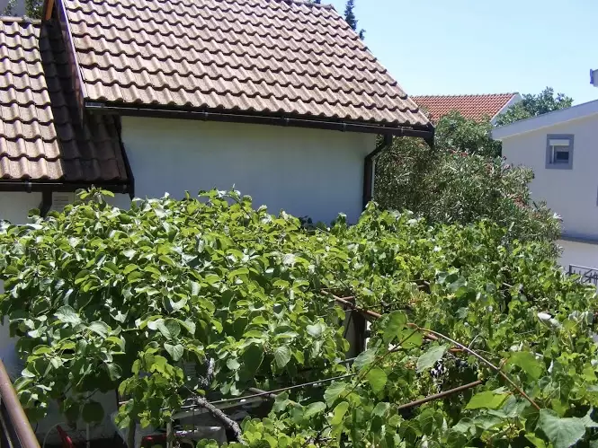 House 107m² in Montenegro, Susanj. Priced at 126000€ rent photo-8