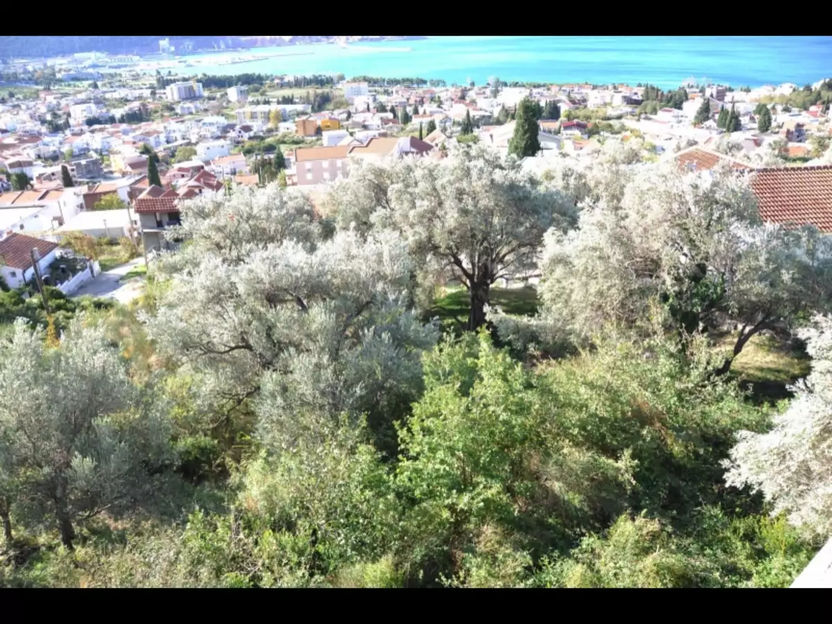 Land 1m² in Montenegro, Susanj. Priced at 80000€ rent photo-6