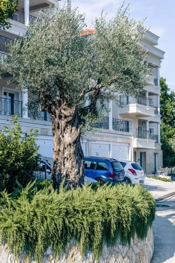 Flat 134m² in Montenegro, Denovici. Priced at 600000€ rent photo-12