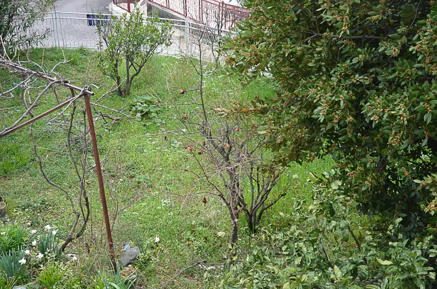 House 133m² in Montenegro, Sutomore. Priced at 125000€ rent photo-22