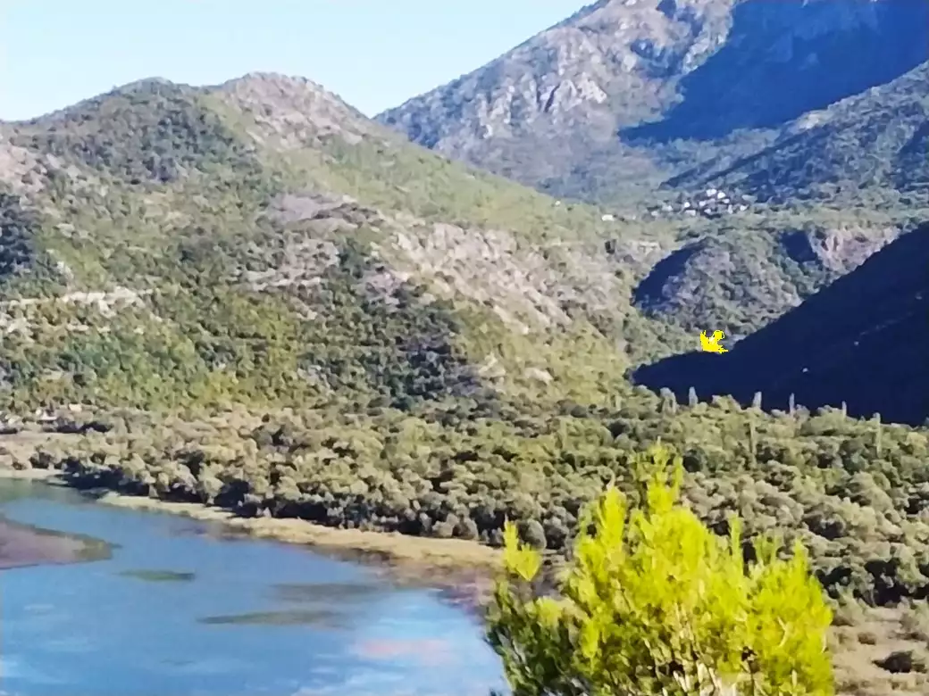 House 210m² in Montenegro, Lake Skadar. Priced at 265000€ rent photo-4