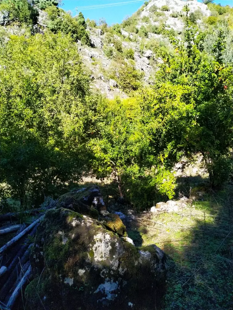 House 210m² in Montenegro, Lake Skadar. Priced at 265000€ rent photo-12