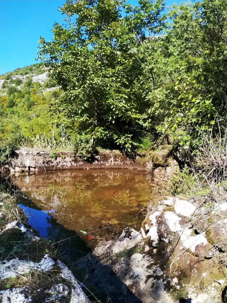 House 210m² in Montenegro, Lake Skadar. Priced at 265000€ rent photo-23