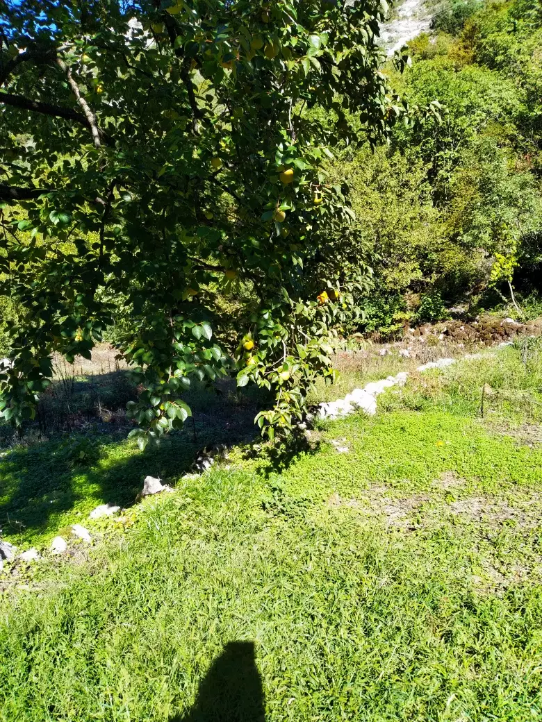 House 210m² in Montenegro, Lake Skadar. Priced at 265000€ rent photo-25