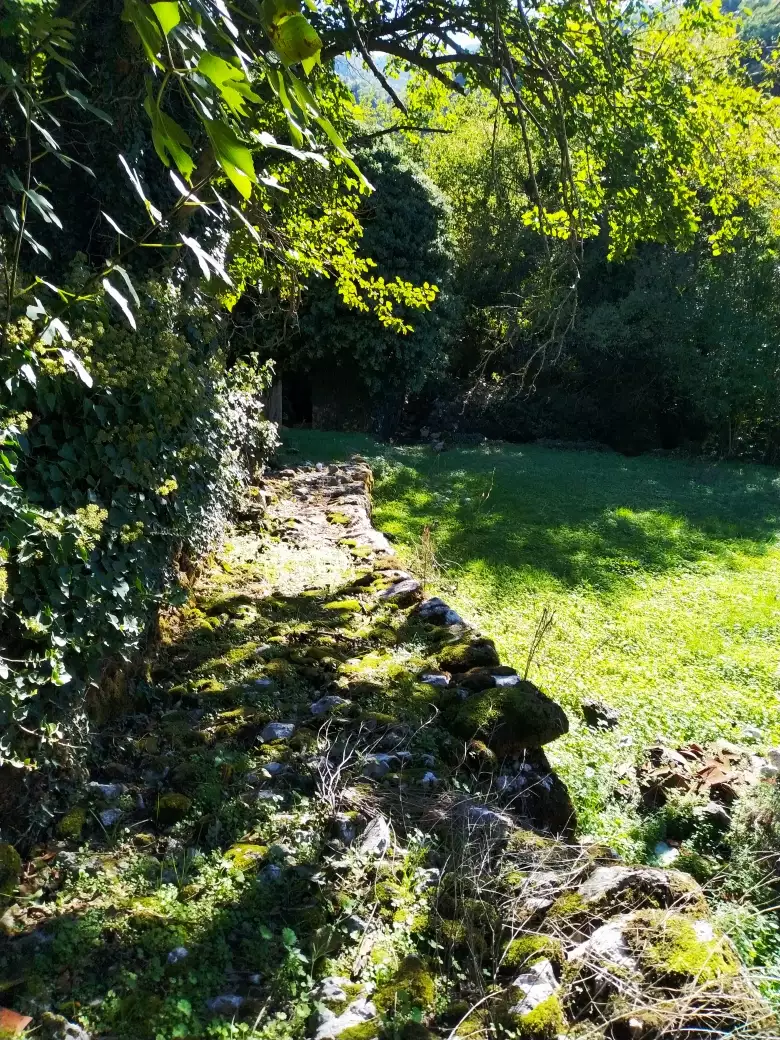 House 210m² in Montenegro, Lake Skadar. Priced at 265000€ rent photo-26