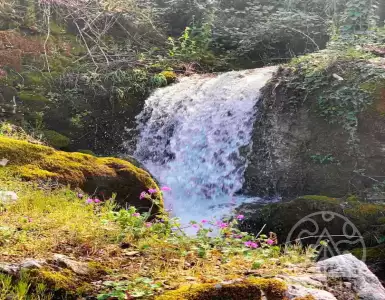 Buy in Montenegro for 265000€