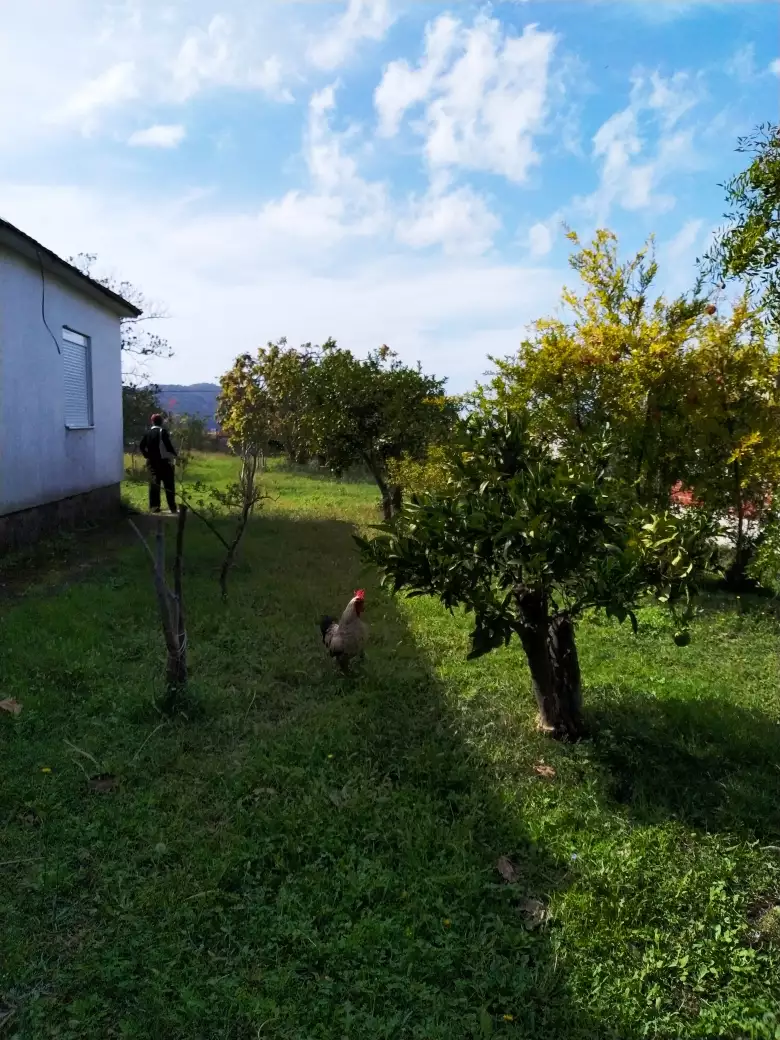 House 140m² in Montenegro, Bar. Priced at 172000€ rent photo-14