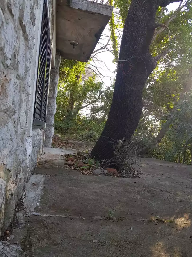 Land 66m² in Montenegro, Sutomore. Priced at 100000€ rent photo-4