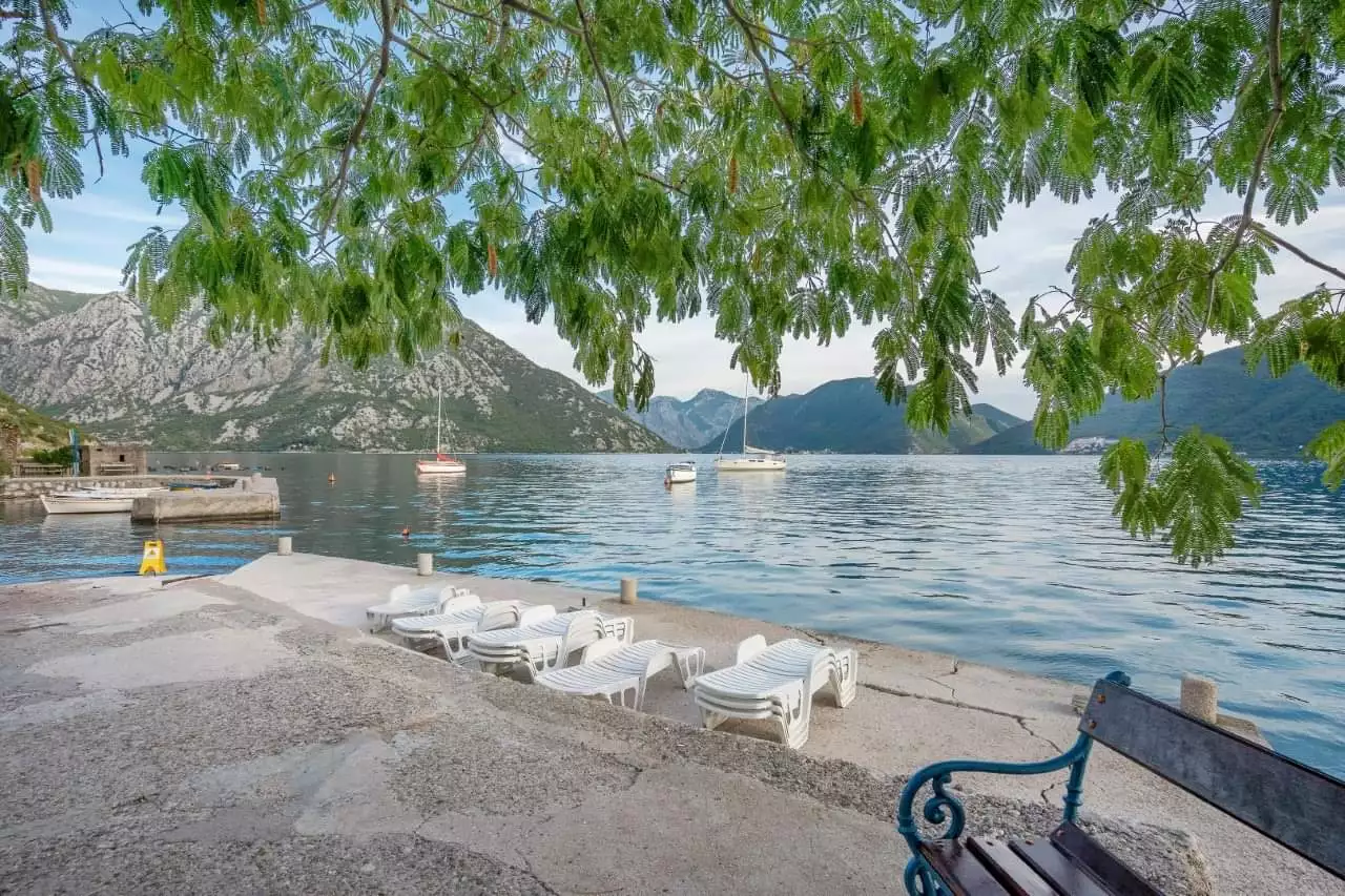 House 255m² in Montenegro, Strp. Priced at 480000€ rent photo-8