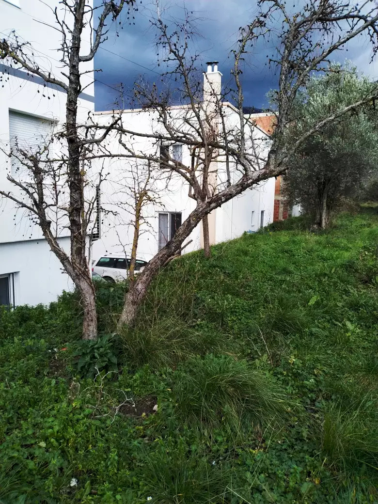 Land 48m² in Montenegro, Bar. Priced at 145000€ rent photo-1