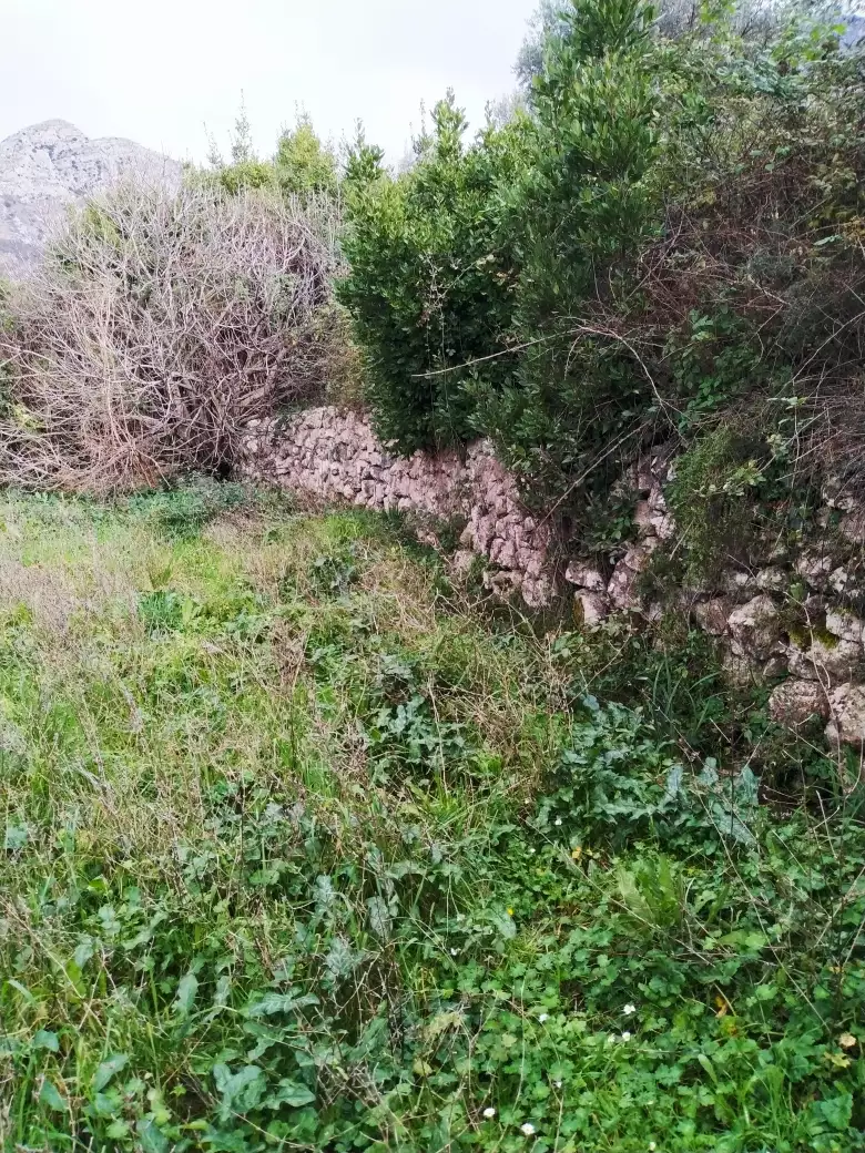 Land 48m² in Montenegro, Bar. Priced at 145000€ rent photo-7