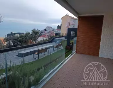 Buy in Montenegro for 264393€