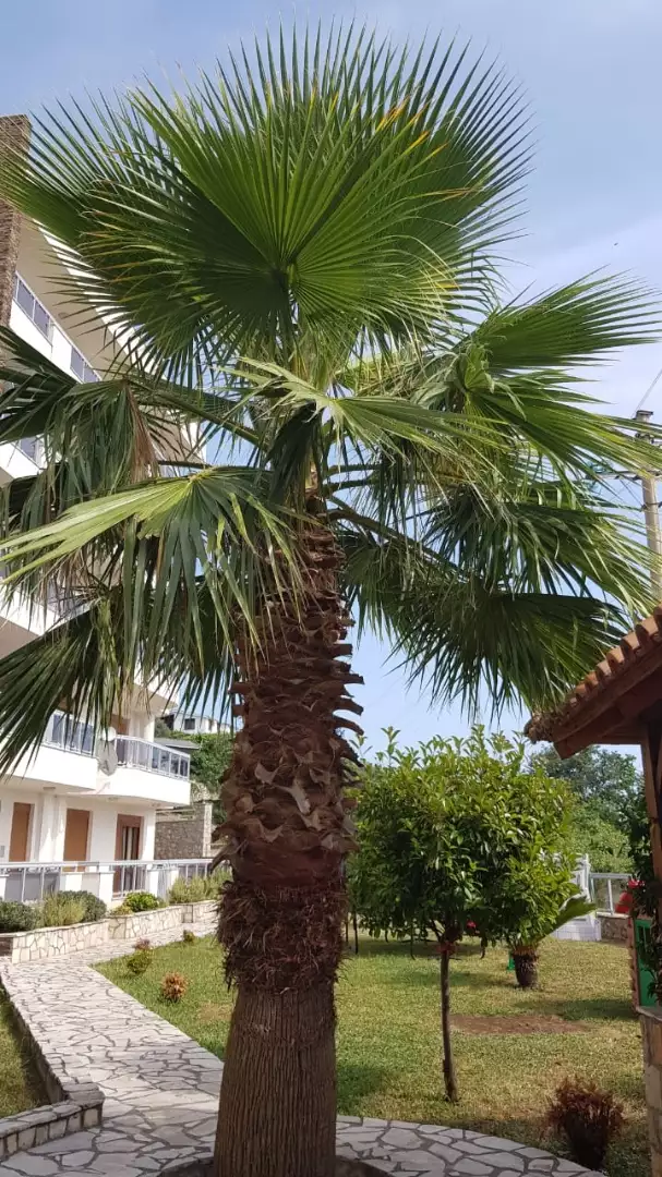 Flat 102m² in Montenegro, Dobra Voda. Priced at 195000€ rent photo-32