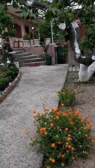 House 105m² in Montenegro, Bar. Priced at 168000€ rent photo-8