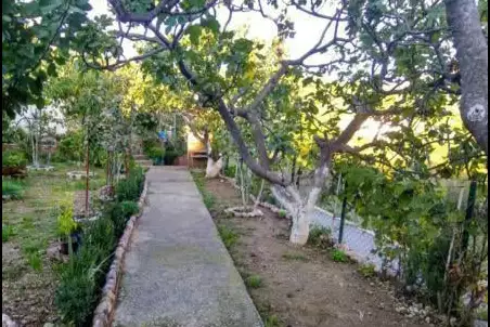House 105m² in Montenegro, Bar. Priced at 168000€ rent photo-22