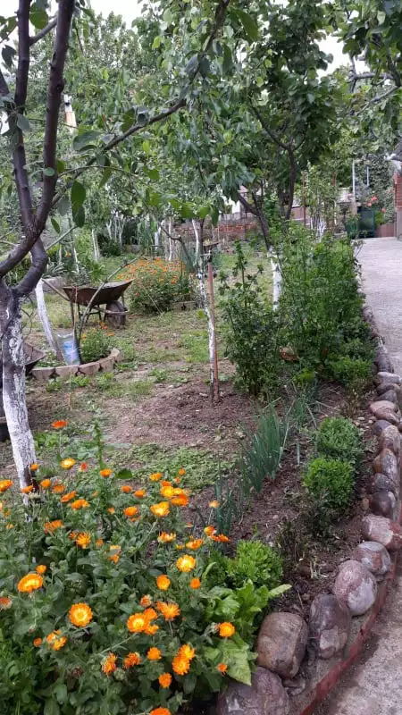 House 105m² in Montenegro, Bar. Priced at 168000€ rent photo-23
