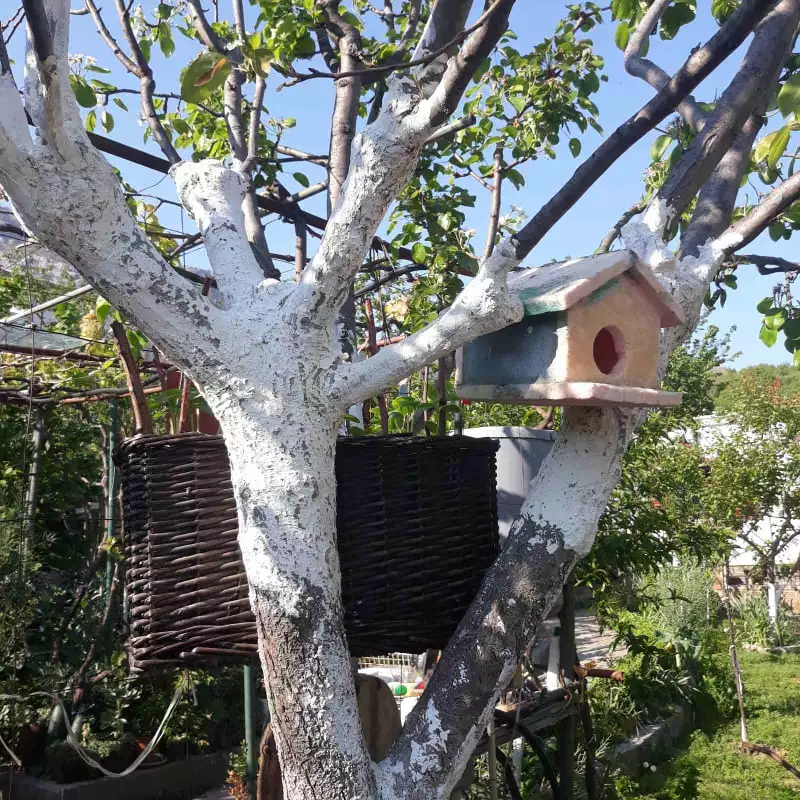 House 105m² in Montenegro, Bar. Priced at 168000€ rent photo-30