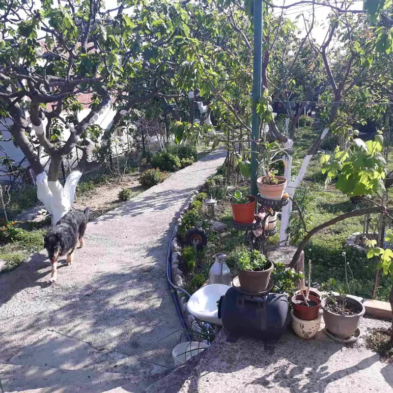 House 105m² in Montenegro, Bar. Priced at 168000€ rent photo-31