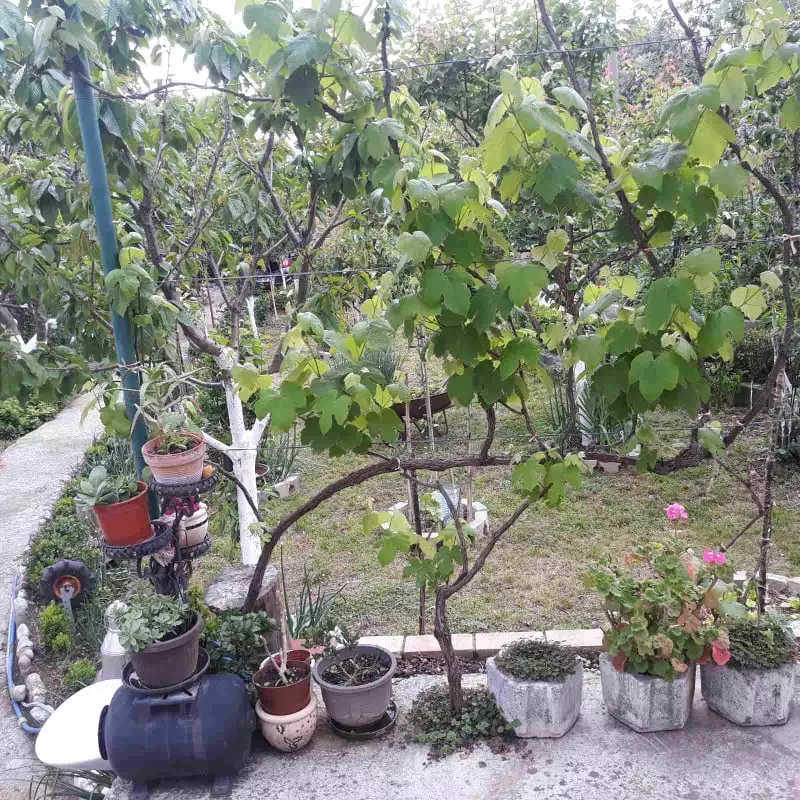 House 105m² in Montenegro, Bar. Priced at 168000€ rent photo-32