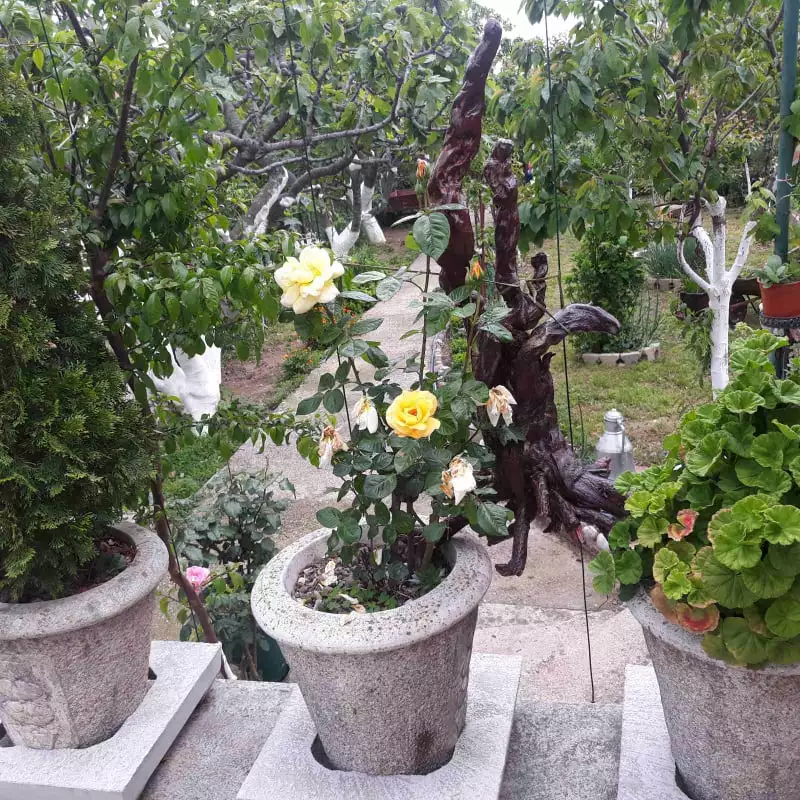 House 105m² in Montenegro, Bar. Priced at 168000€ rent photo-33