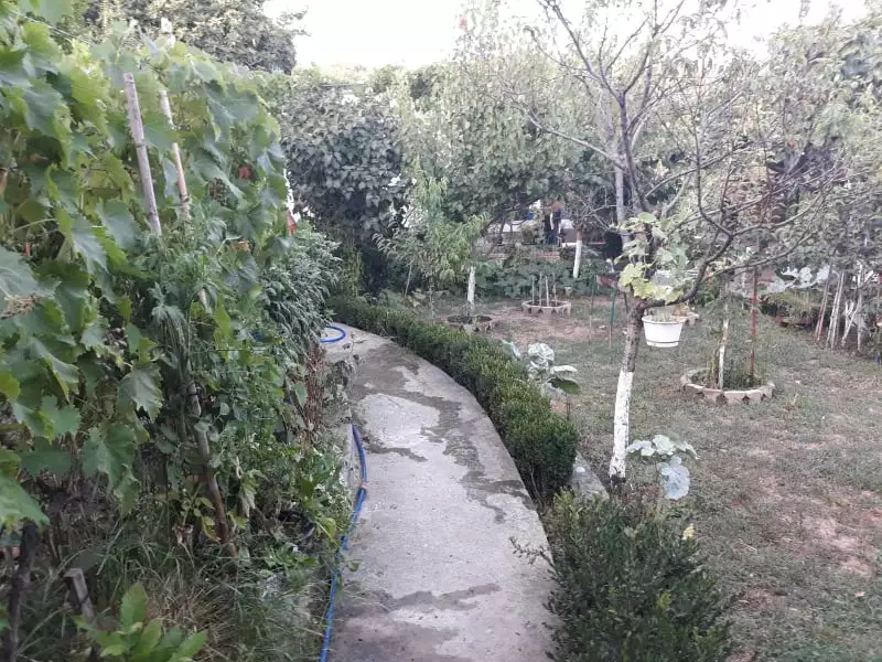 House 105m² in Montenegro, Bar. Priced at 168000€ rent photo-39