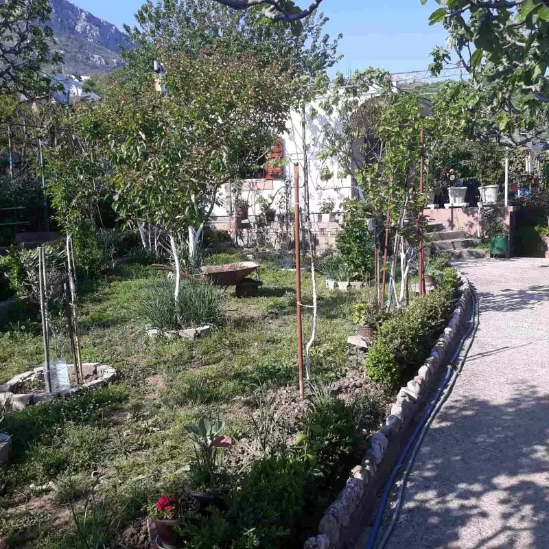 House 105m² in Montenegro, Bar. Priced at 168000€ rent photo-44