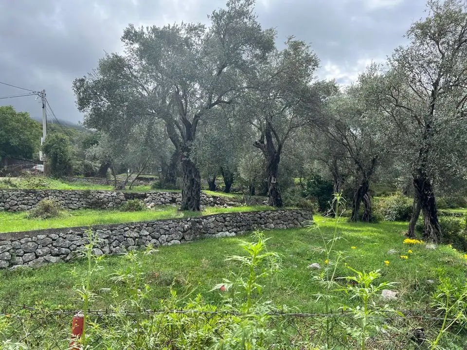 Villa 183m² in Montenegro, Bar. Priced at 330000€ rent photo-3