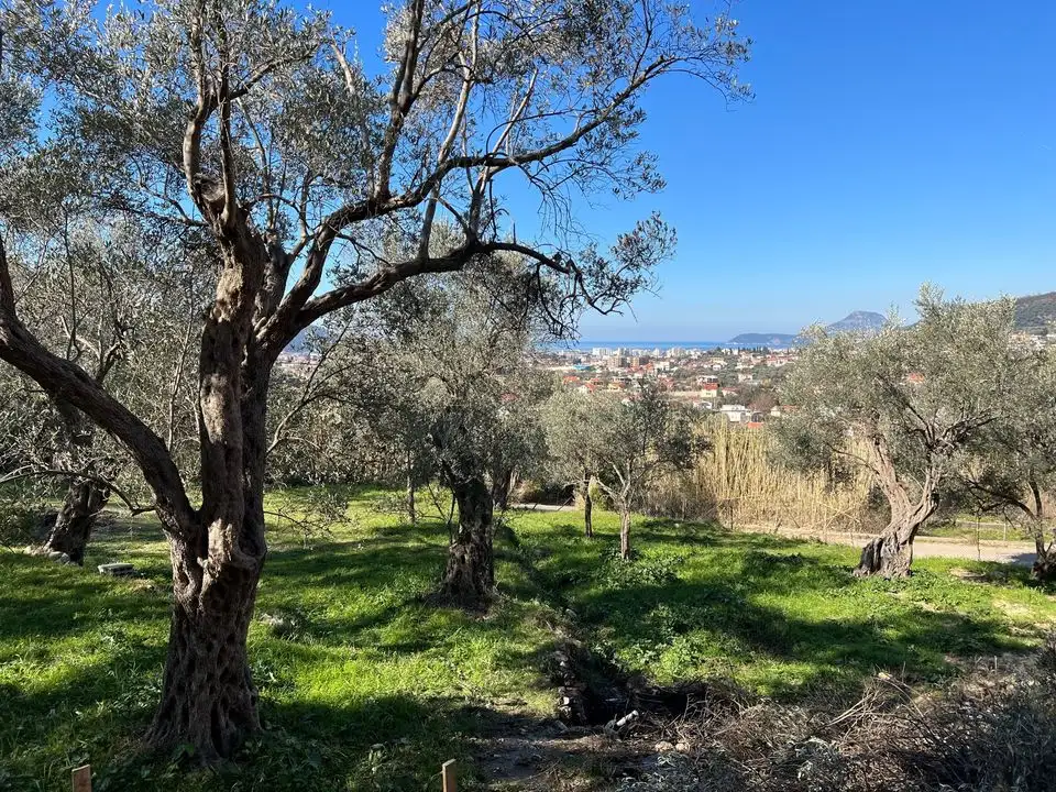 Villa 183m² in Montenegro, Bar. Priced at 330000€ rent photo-4