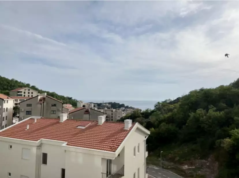 Flat 70m² in Montenegro, Przno. Priced at 150000€ rent photo-12