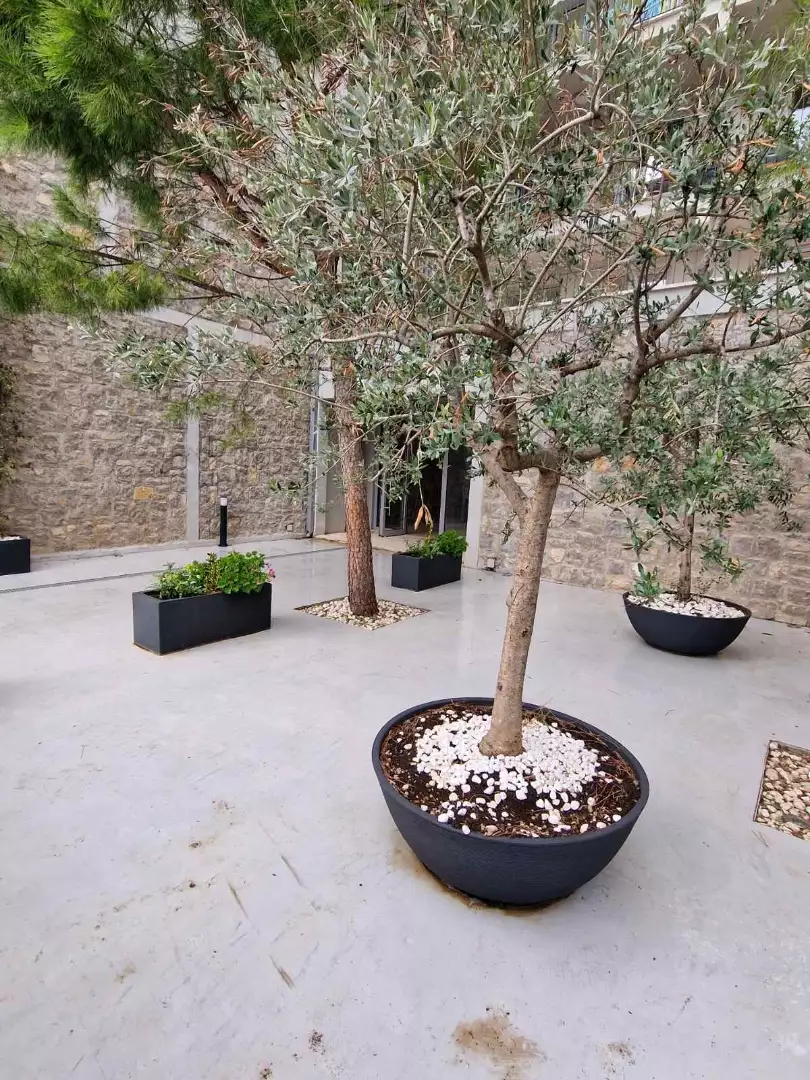 Cottage 403m² in Montenegro, Dobrota. Priced at 630000€ rent photo-17