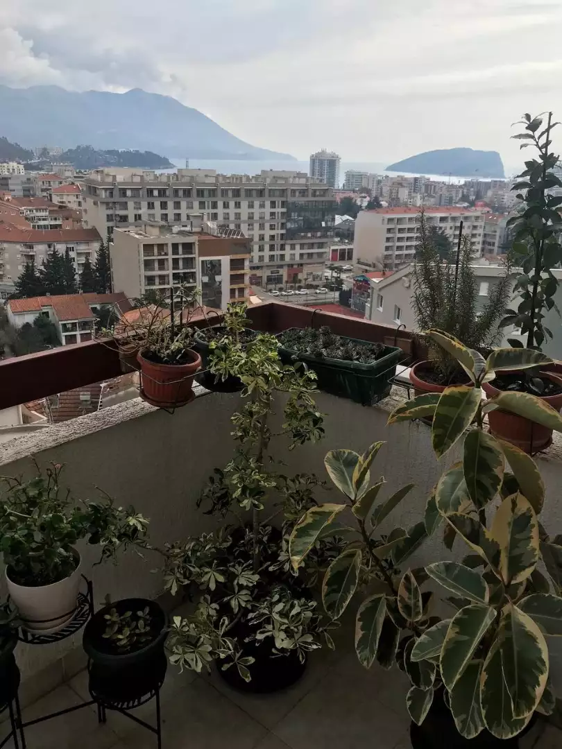 Flat 70m² in Montenegro, Budva. Priced at 165000€ rent photo-22