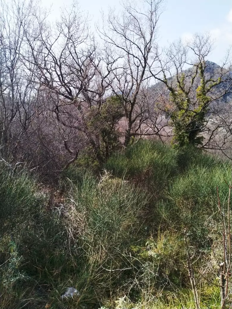 House 140m² in Montenegro, Sutomore. Priced at 75000€ rent photo-2