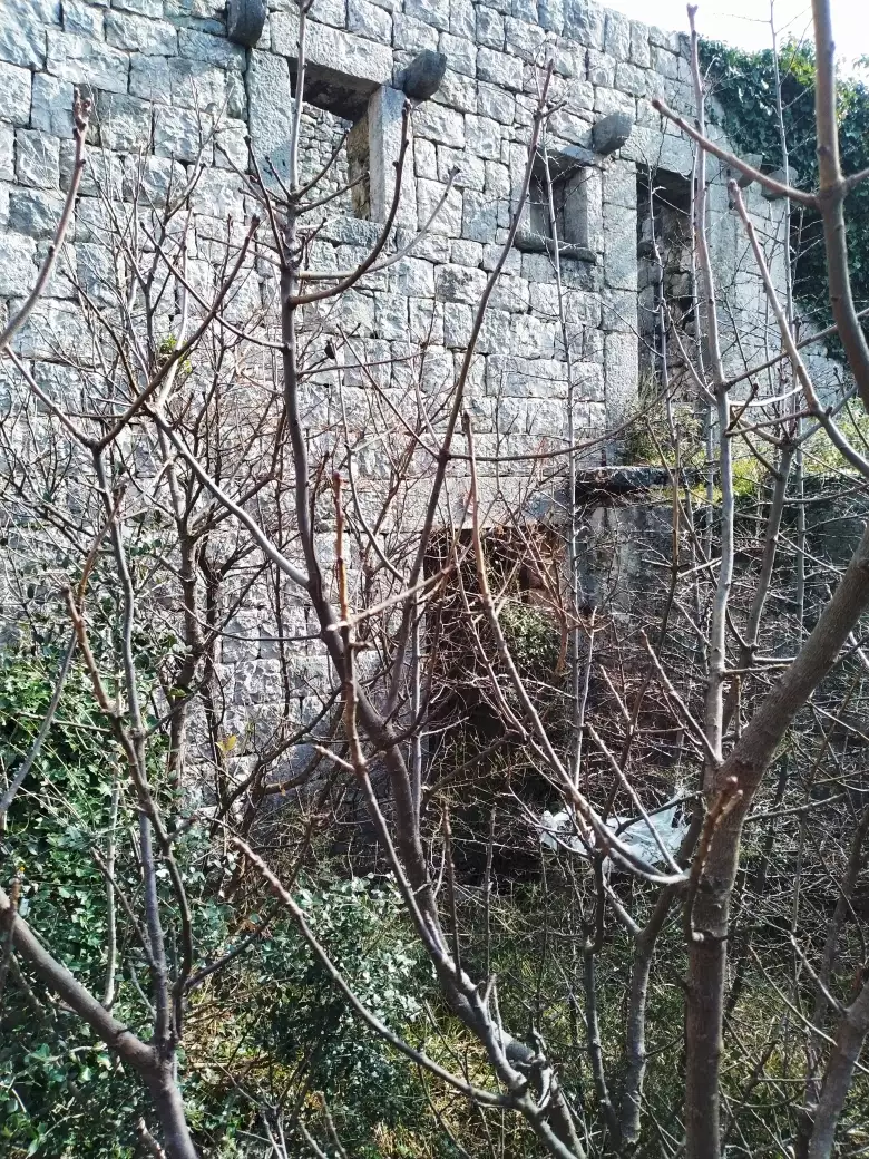 House 140m² in Montenegro, Sutomore. Priced at 75000€ rent photo-4