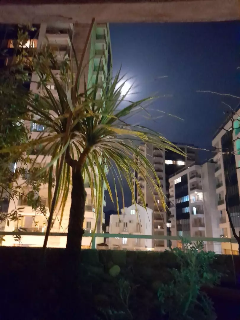 Flat 65m² in Montenegro, Budva. Priced at 270000€ rent photo-2