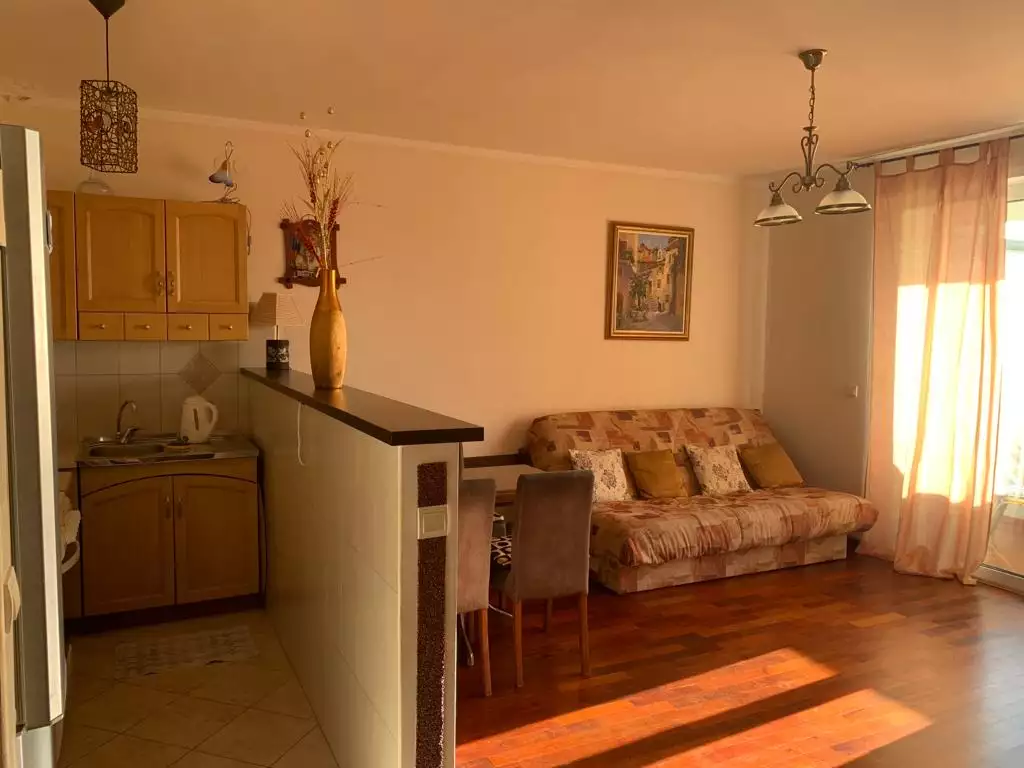 Flat 116m² in Montenegro, Petrovac. Priced at 170000€ rent photo-6